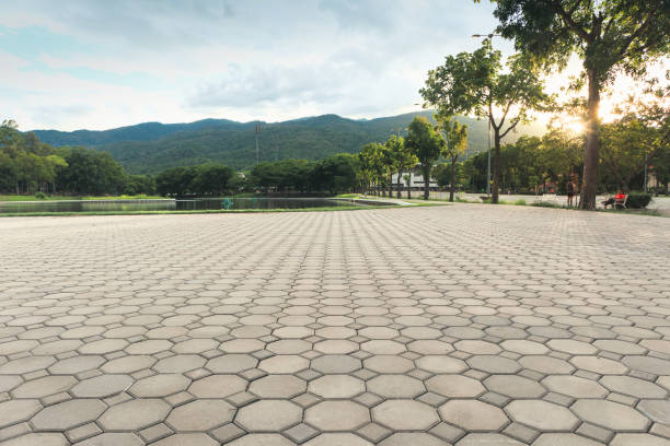 Best Paver Driveway Replacement  in Paynesville, MN