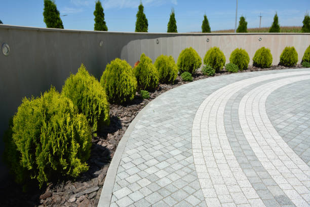 Best Local Driveway Pavers  in Paynesville, MN
