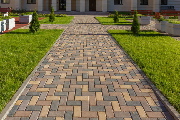 Best Residential Driveway Paver Services  in Paynesville, MN